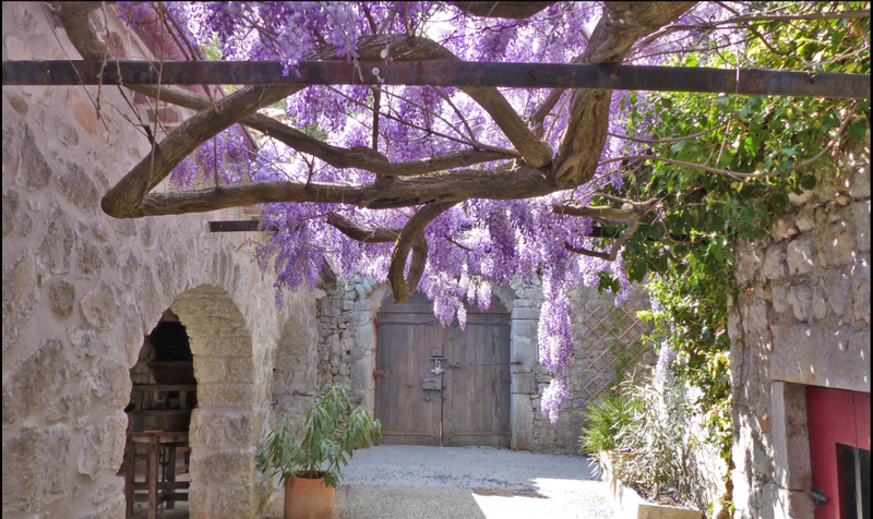 Mas Daudet. Musée & Parc