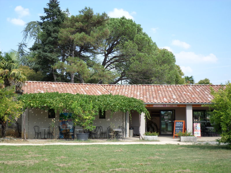 Mas Daudet. Musée & Parc