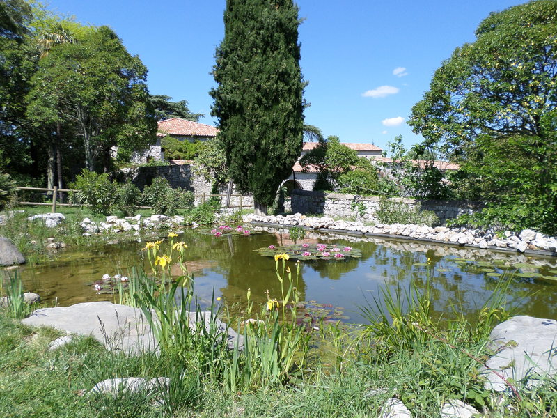 Mas Daudet. Musée & Parc