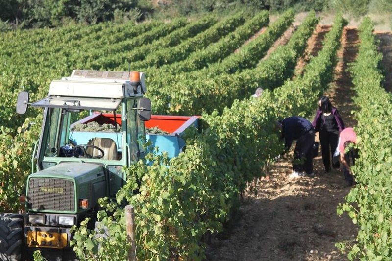 Cave Domaine Nicolas Croze