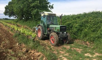 Cave Domaine de la Pierre-Laine