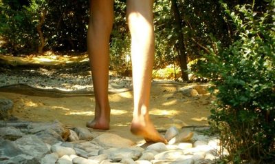 La Forêt dEmile Zarbre