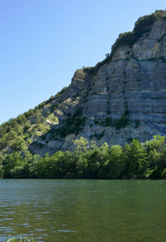 Parcours accrobranche - Accroche Toi aux Branches