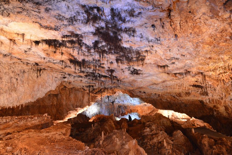 Aven Grotte Forestière. Visitez Autrement