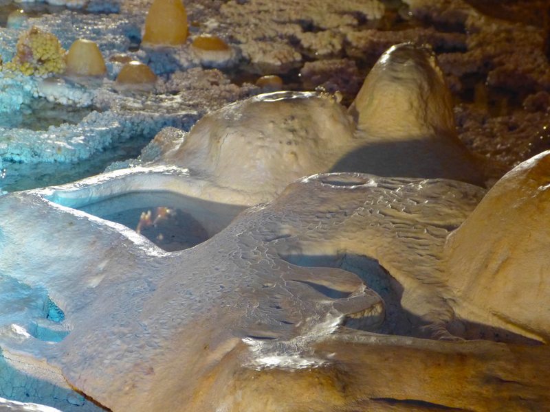 Aven Grotte Forestière. Visitez Autrement