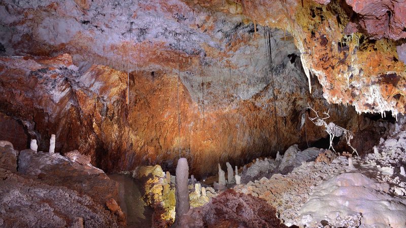 Aven Grotte Forestière. Visitez Autrement