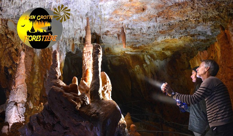 Aven Grotte Forestière. Visitez Autrement