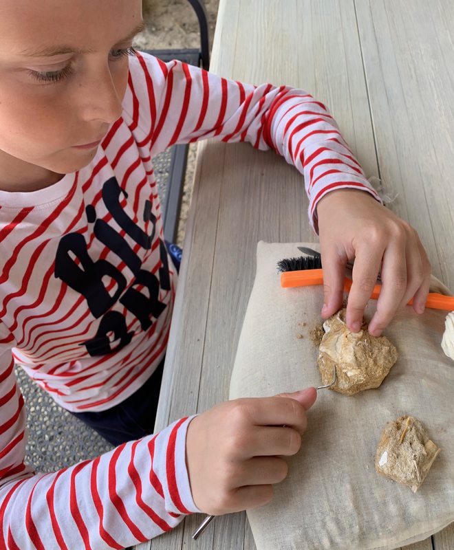 Aven Grotte Forestière. Visitez Autrement