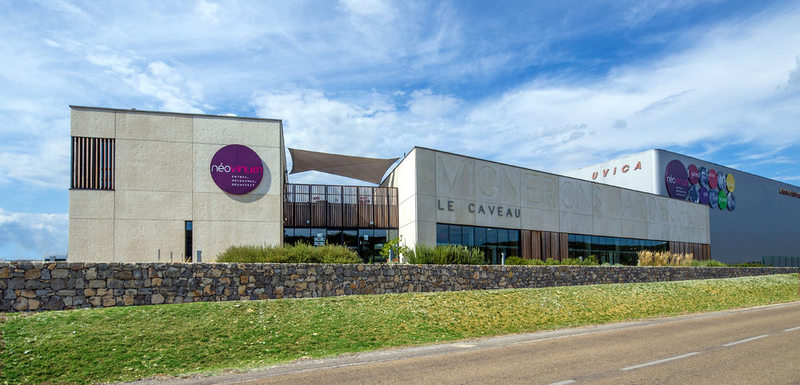 Néovinum : une immersion unique dans lunivers des vins dArdèche !