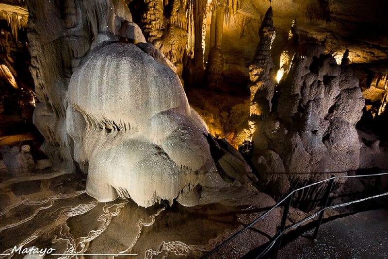 Grotte de la Cocalière