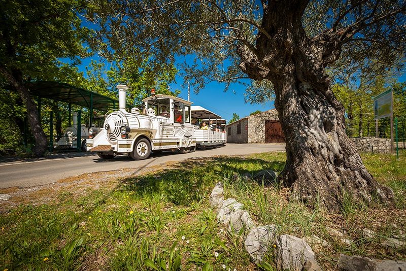 Grotte de la Cocalière