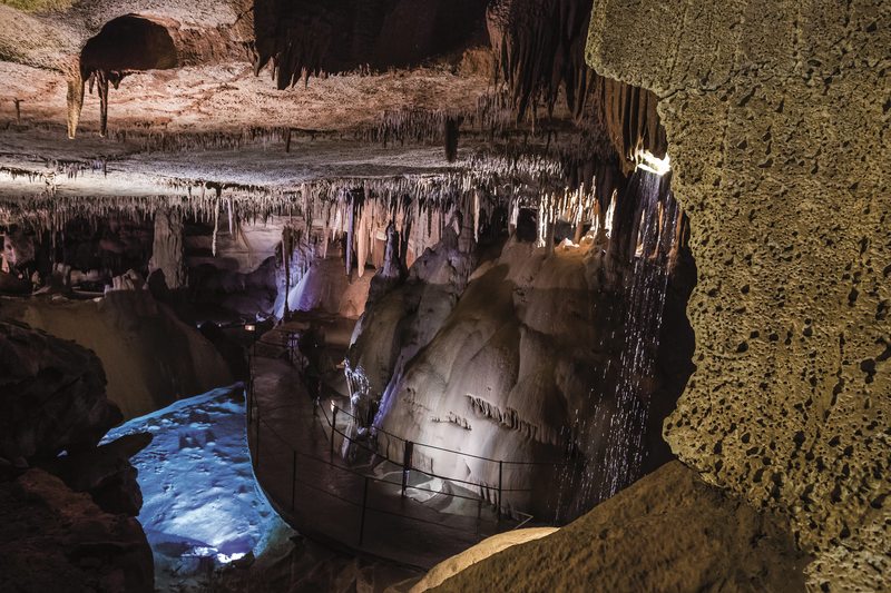 Grotte de la Cocalière