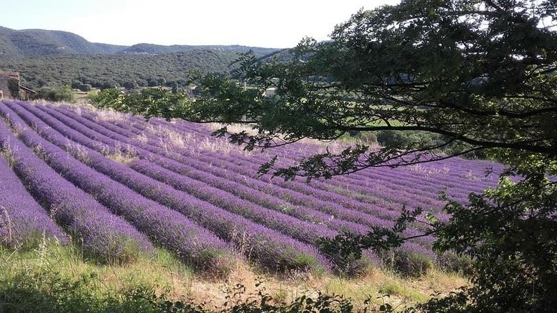 Maison de vacances Les Tuilières