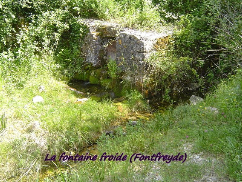 Gîte de la Plaine du Four