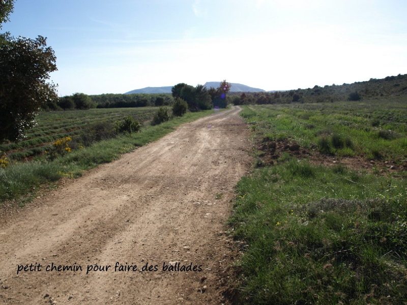 Gîte de la Plaine du Four