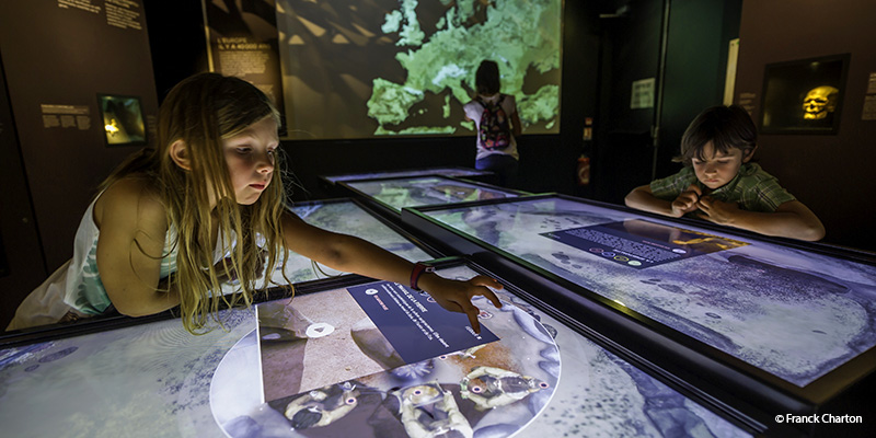 La-Galerie-de-l-Aurignacien-grotte-chauvet-caverne-pont-d-arc-ardeche