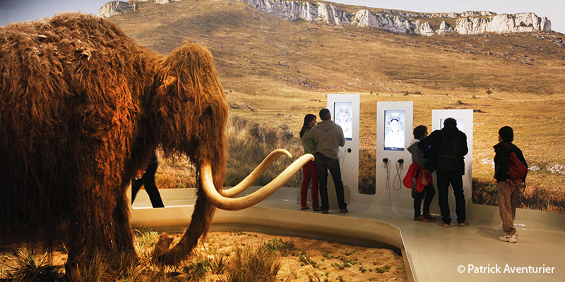 Mamouth-grandeur-nature-dans-la-Galerie-de-lAurignacien-grotte-chauvet-ardeche