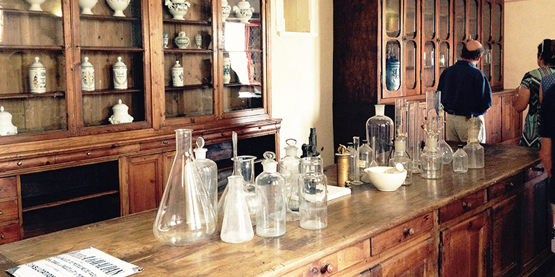 arboristerie-palais-des-eveques-800x400