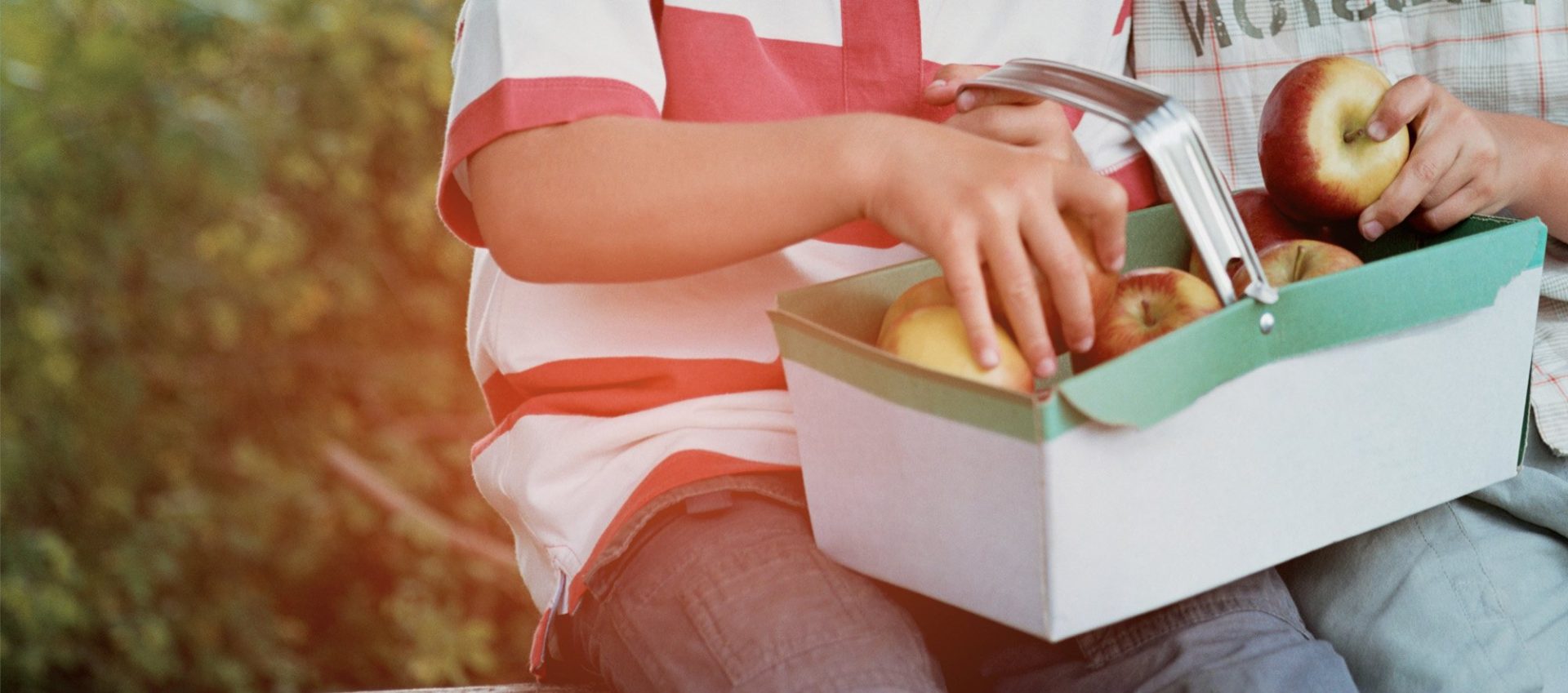 commerces-services-gorges-ardeche-sud