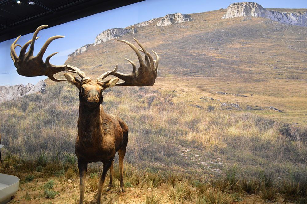dent-de-rez-chauvet-ardeche