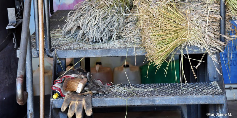 distillation-au-musee-de-la-lavande-ardeche