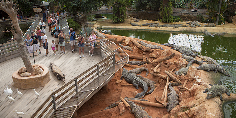 ferme-aux-crocodiles-serre-famille-enfant-ardeche