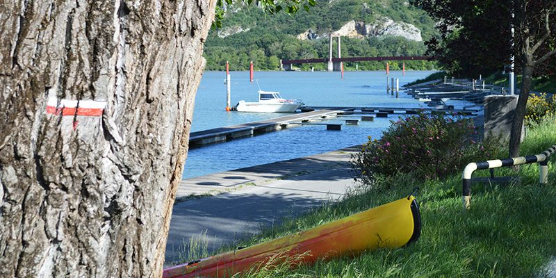 port-de-plaisance-rhone-viviers-ardeche