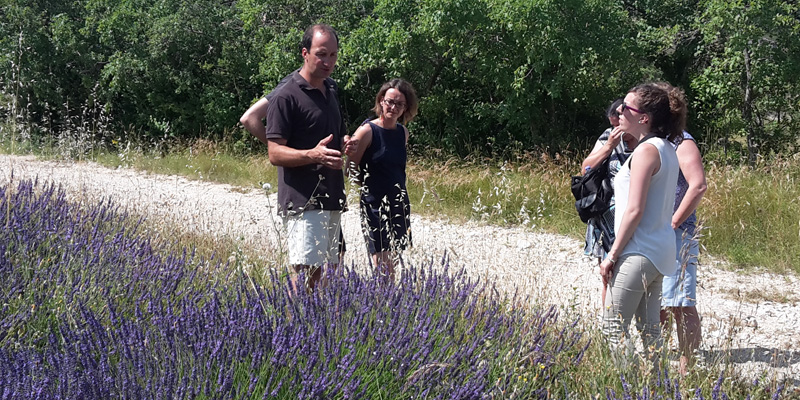 promenade-larnas-ardeche-lavande