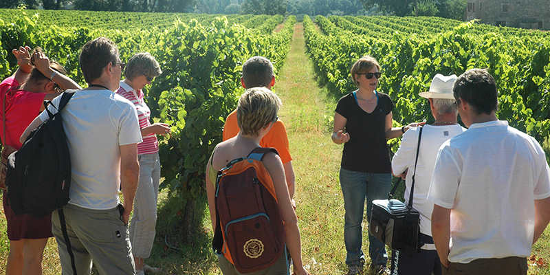 visites-au-coeur-des-vignes-1