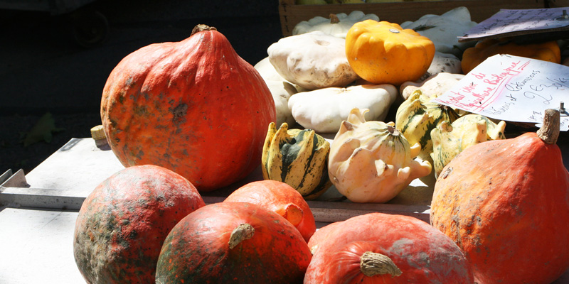 marche-en-ardeche-potiron