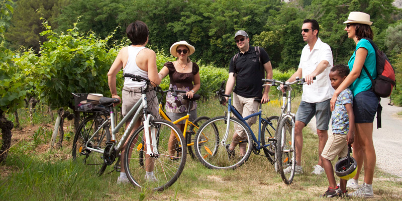 visite-vignoble-degustation-dans-les-vignes-famille