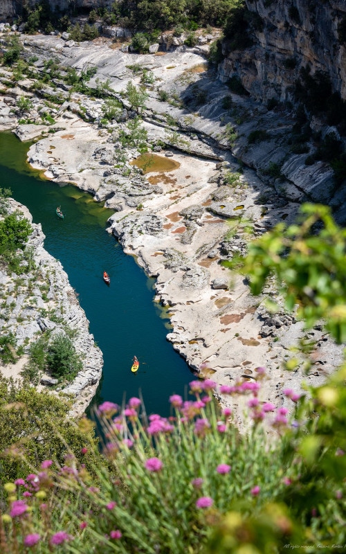 canoe gorges ardèche avec fleurs mobile