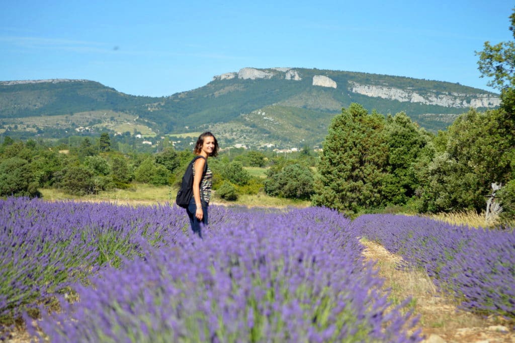 lavandes-gorges-web