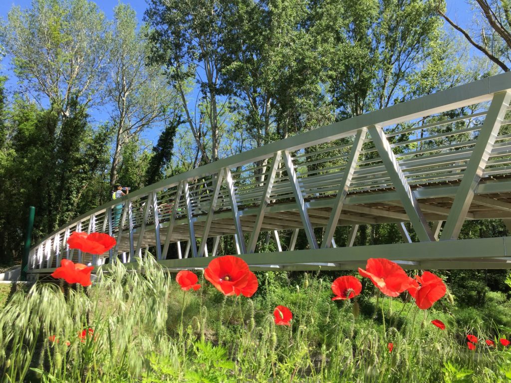 47924022426_7aec038ff5_k