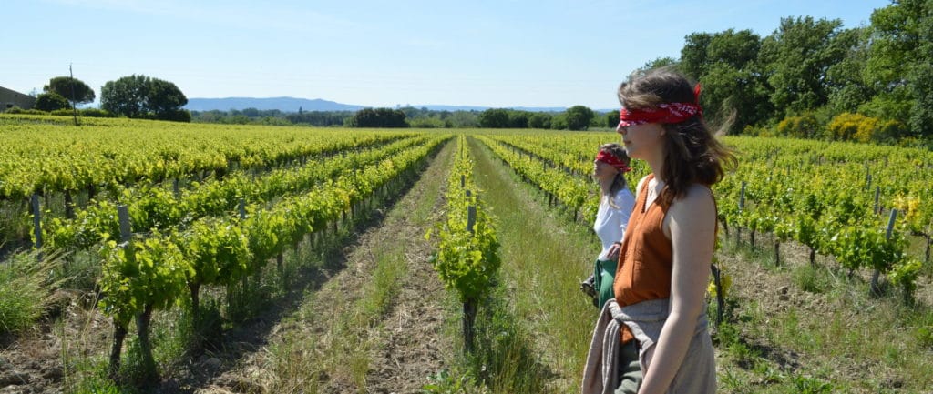 expérience viti-sophrologie