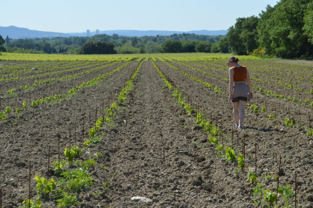 47941444332_9f95daceb0_k