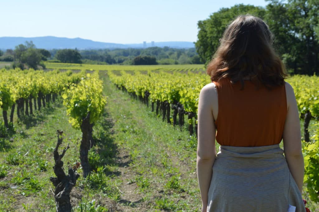 marche dans les vignes