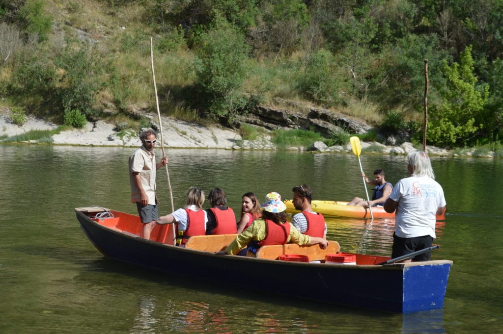 48060411323_0fe0cedc55_k