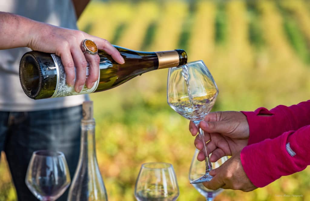 dégustation de vin vignoble sud ardèche