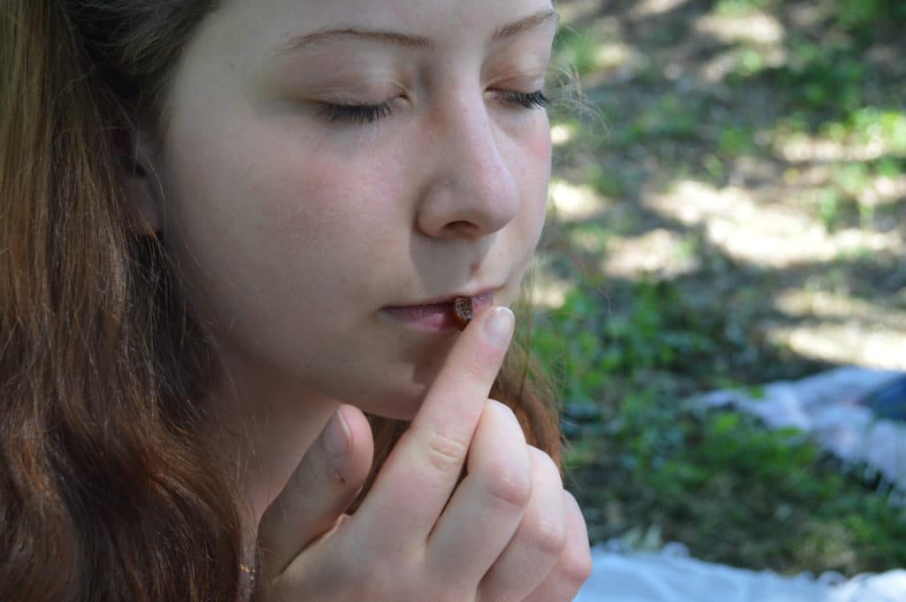 sophrologie dans les vignes