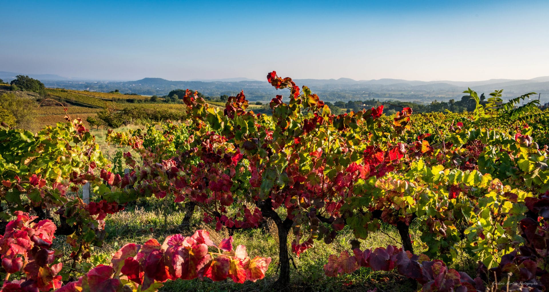 vignobles sud ardeche automne ©Frederic Mortain