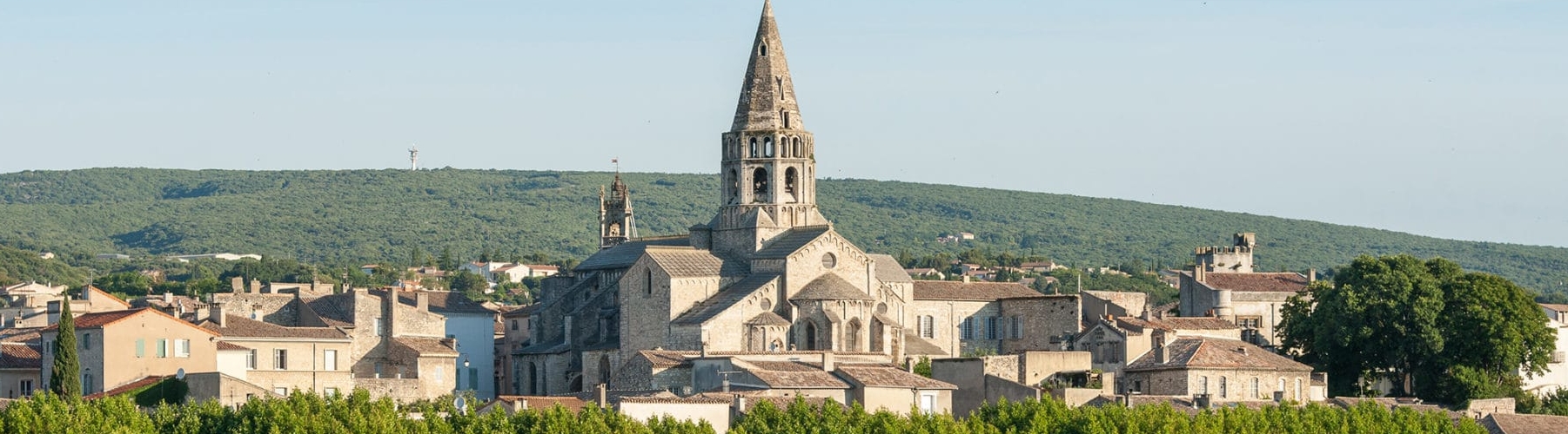 bsa-bd-scaled_1802x500_acf_cropped-1