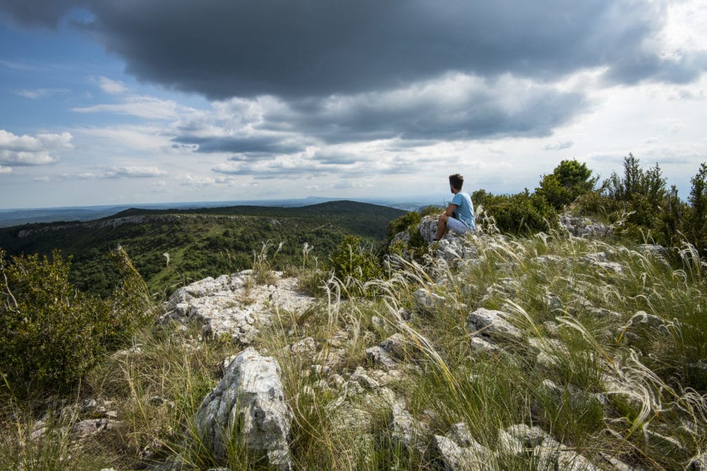 Dent de Rez - Gras, le 1er juin 2020.