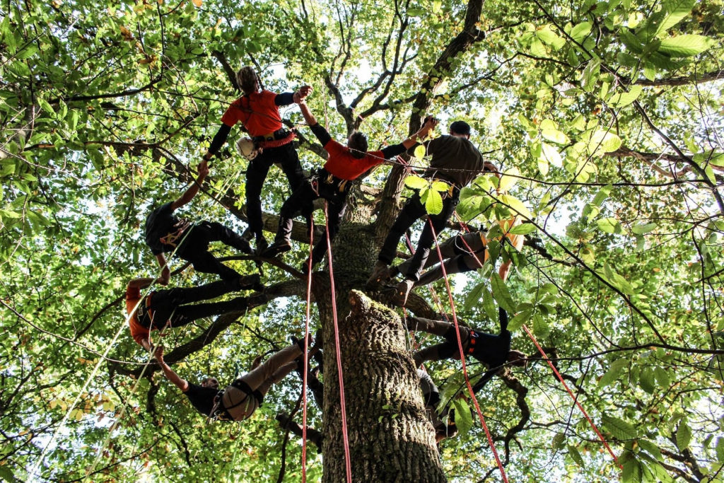 chatouilleurs des cimes