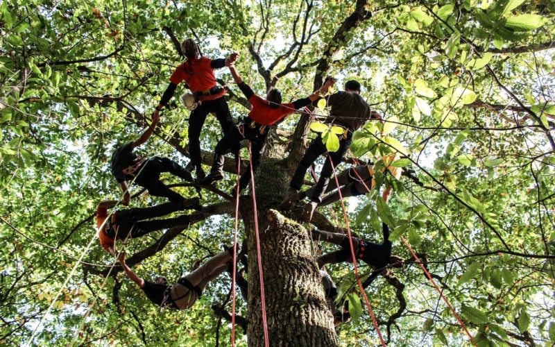 chatouiulleurs_800x500_acf_cropped