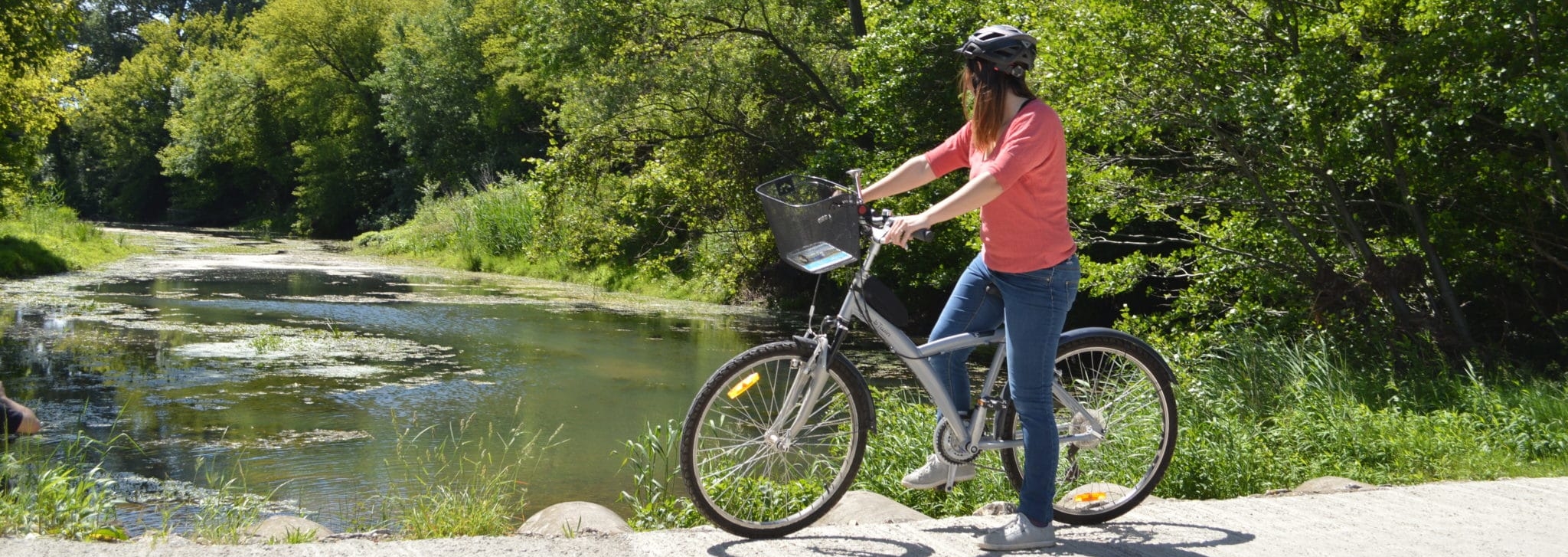 28169176608_c3642d293d_o-scaled_2048x727_acf_cropped