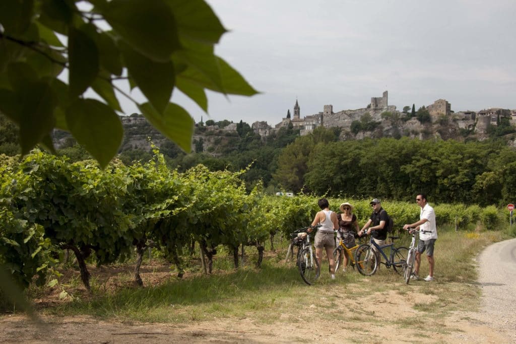 balade velo vigne sma