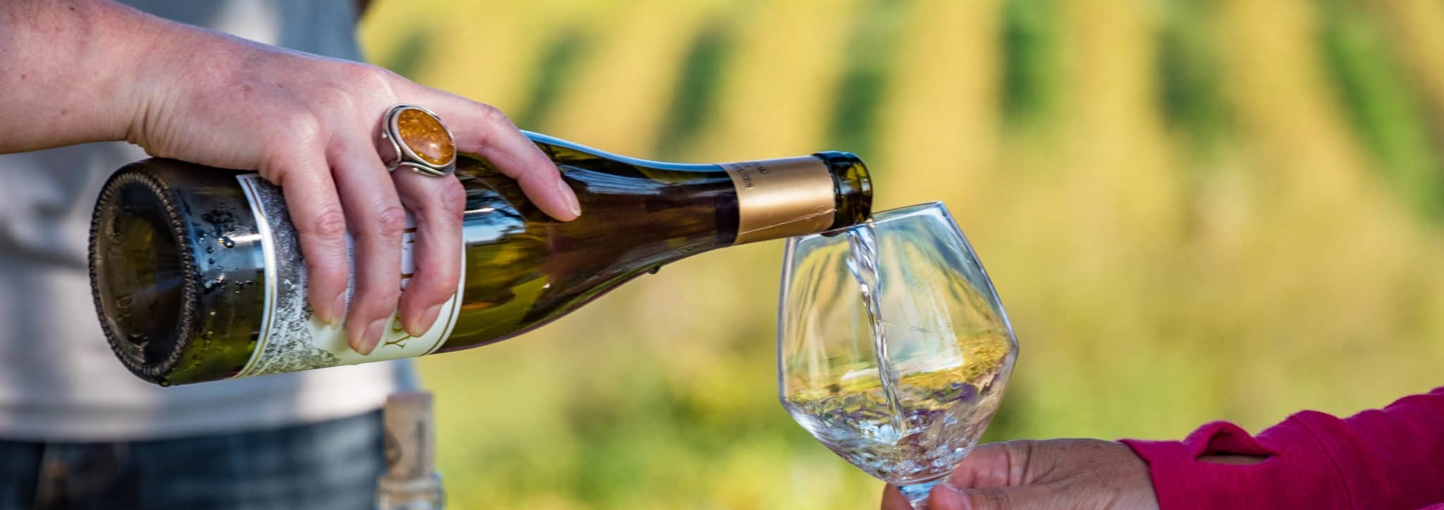 DSC_6253-1-scaled_2048x724_acf_cropped