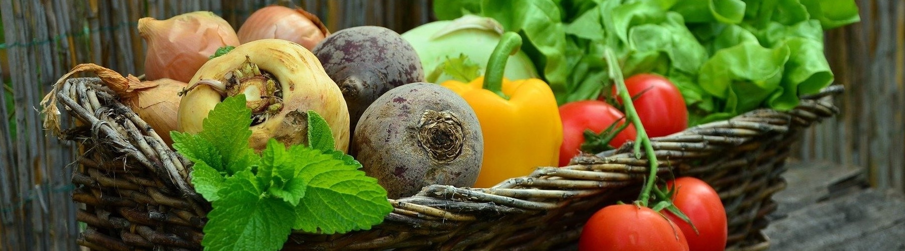 vegetables-752153_1920-e1587650078316_1801x501_acf_cropped