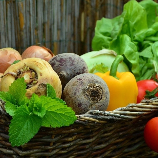 vegetables-752153_1920-e1587650078316_600x600_acf_cropped